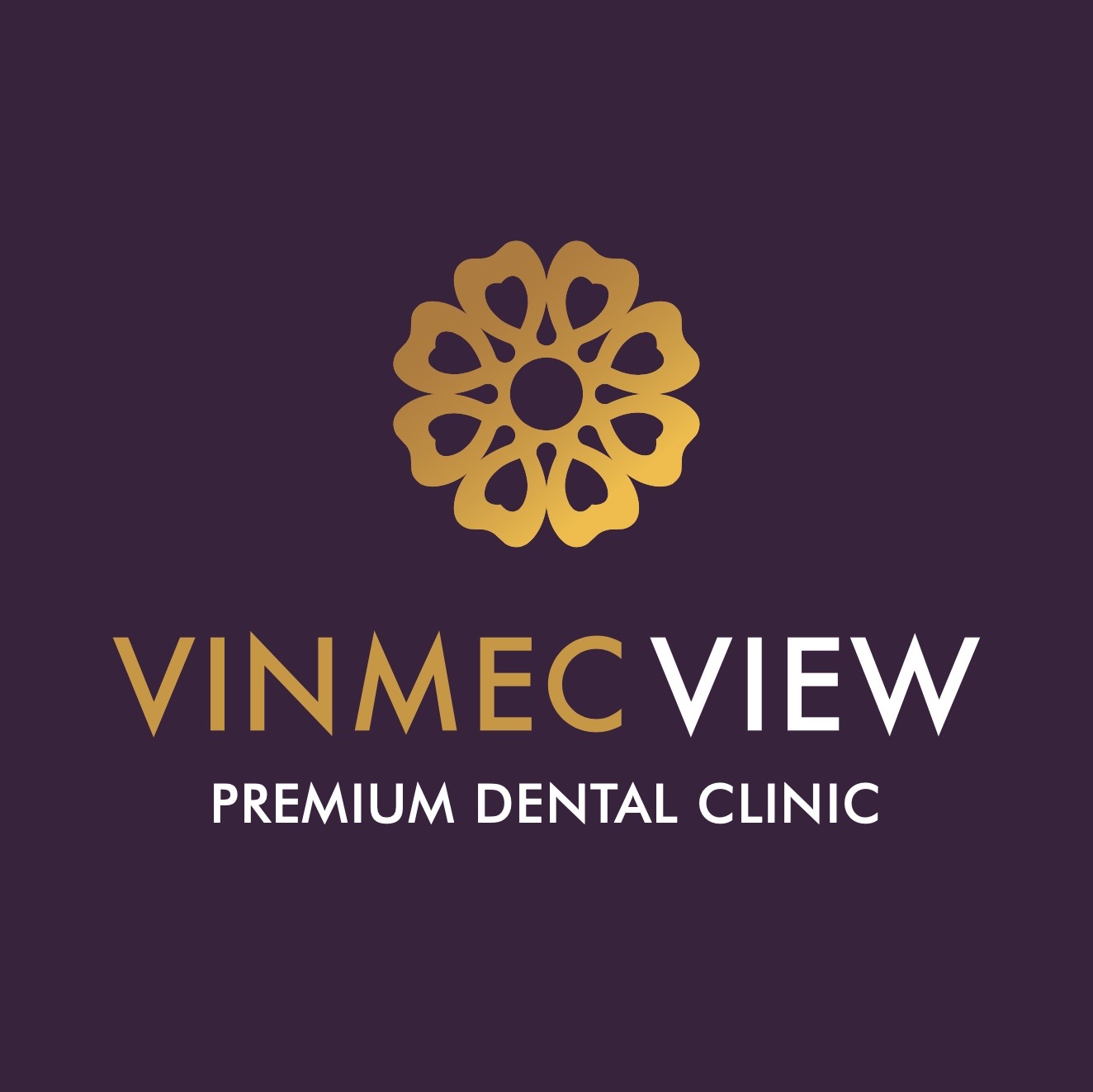 Vinmec View Premium Dental Clinic